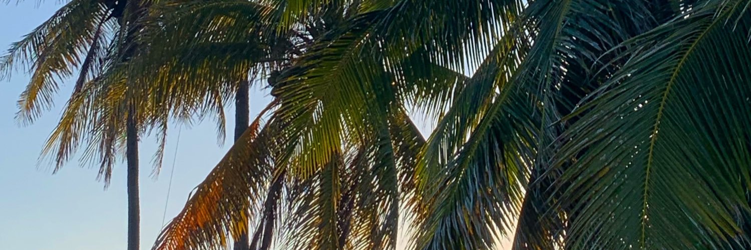 keolv's profile banner image