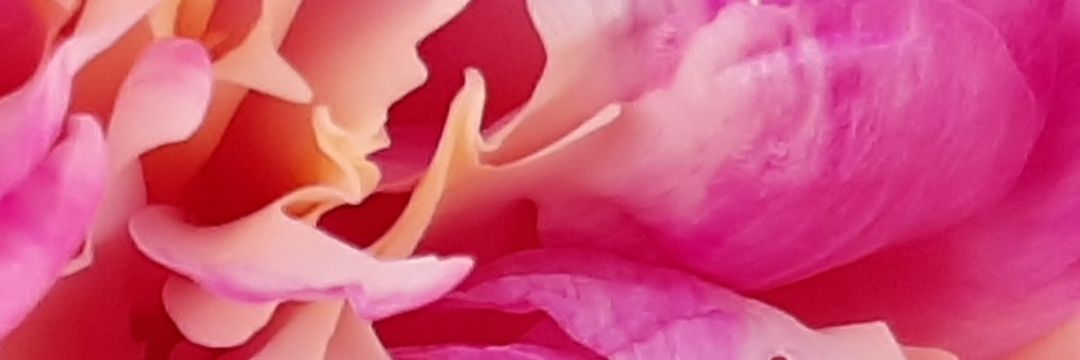 mairedebarra's profile banner image