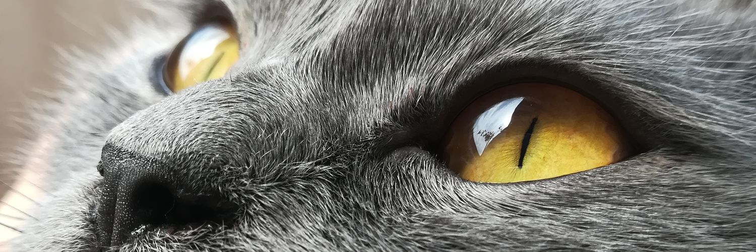 Gonso_004's profile banner image