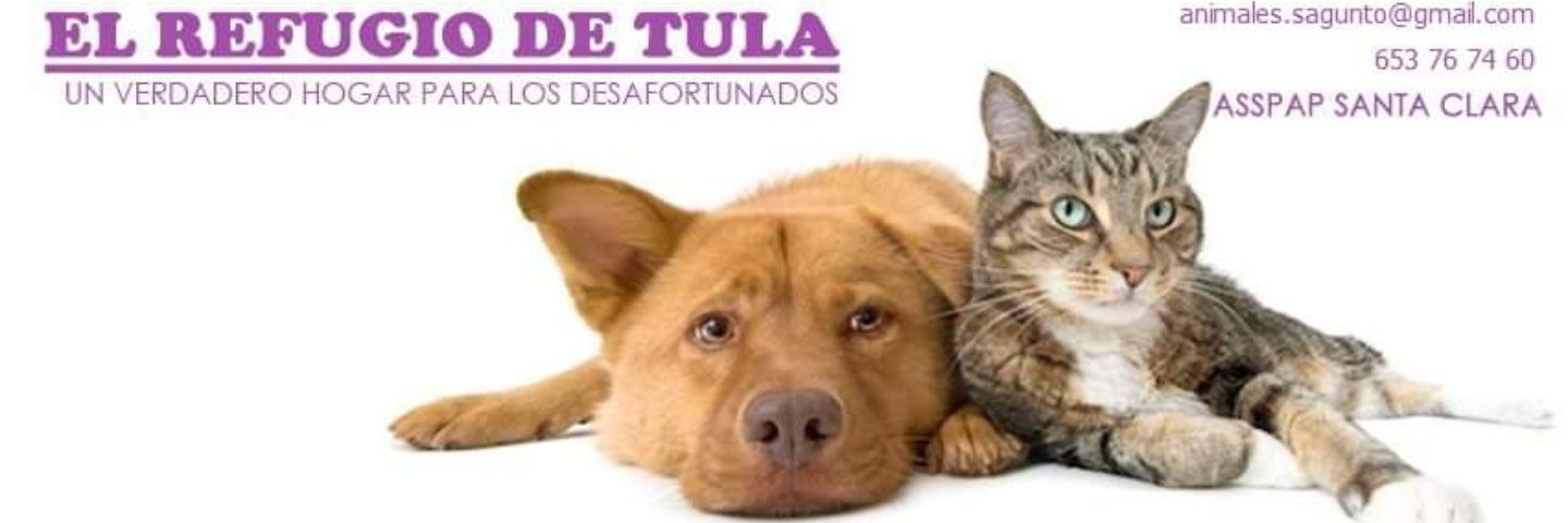 RefugioAnimalSa's profile banner image