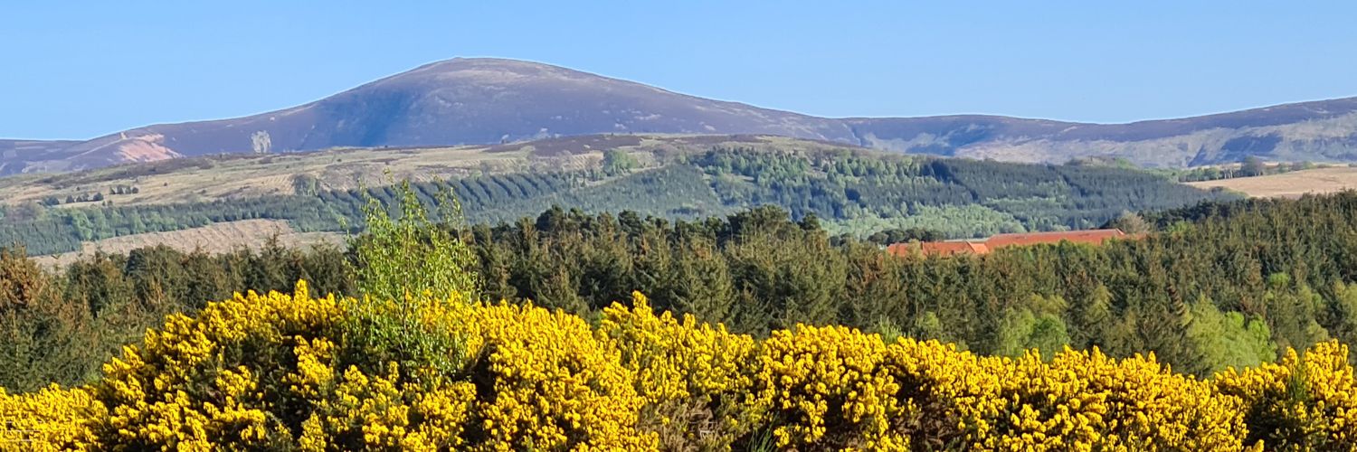 Kenny Lean banner