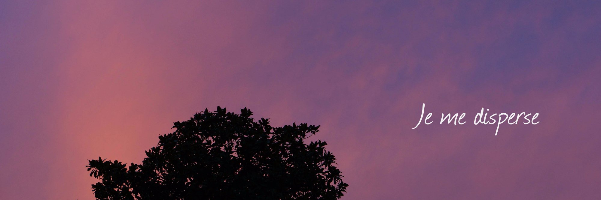 jemedisperse's profile banner image