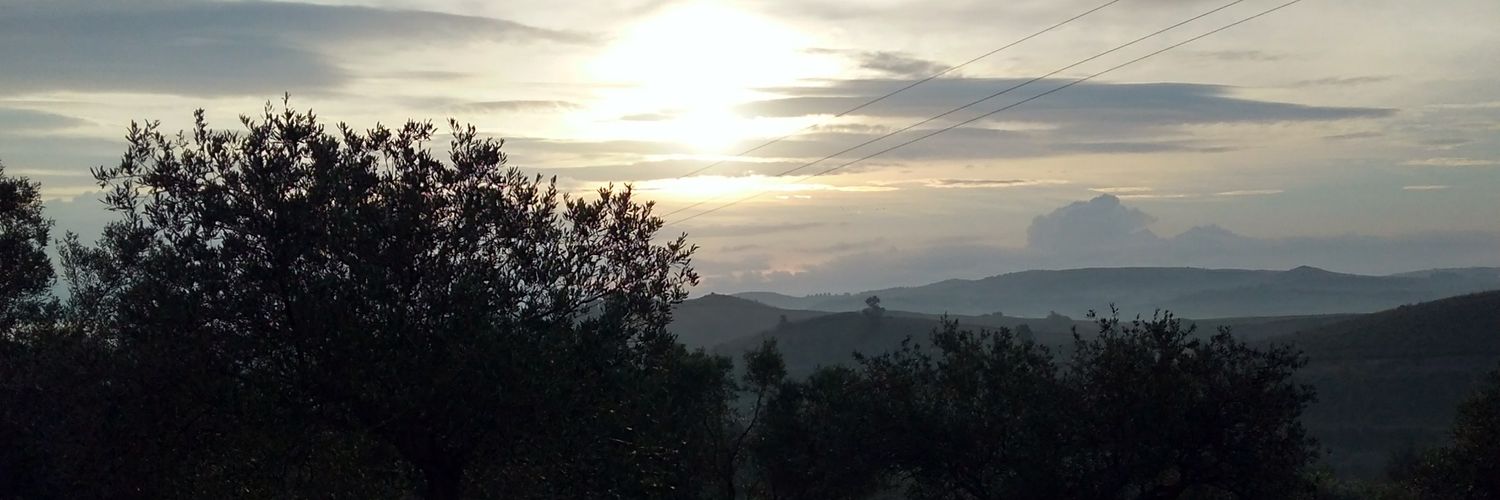 lallu89's profile banner image