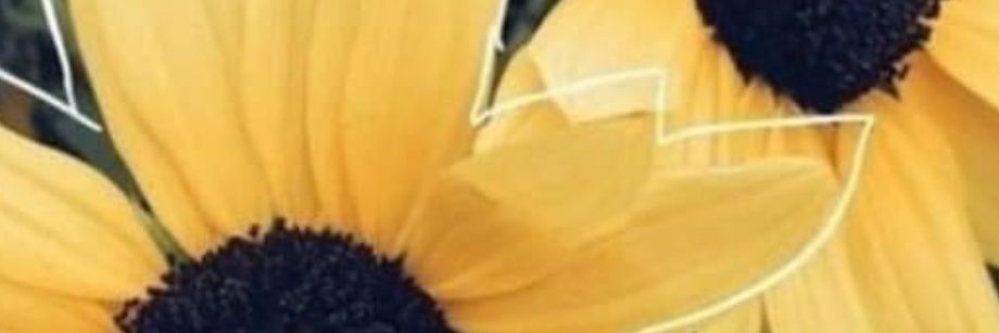 amargaita_'s profile banner image