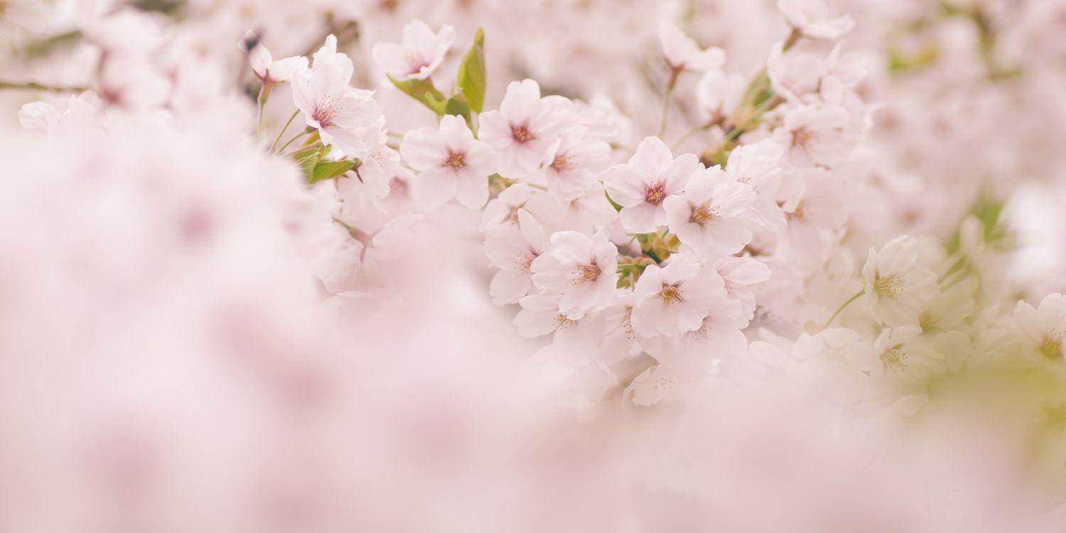 Martiine94's profile banner image