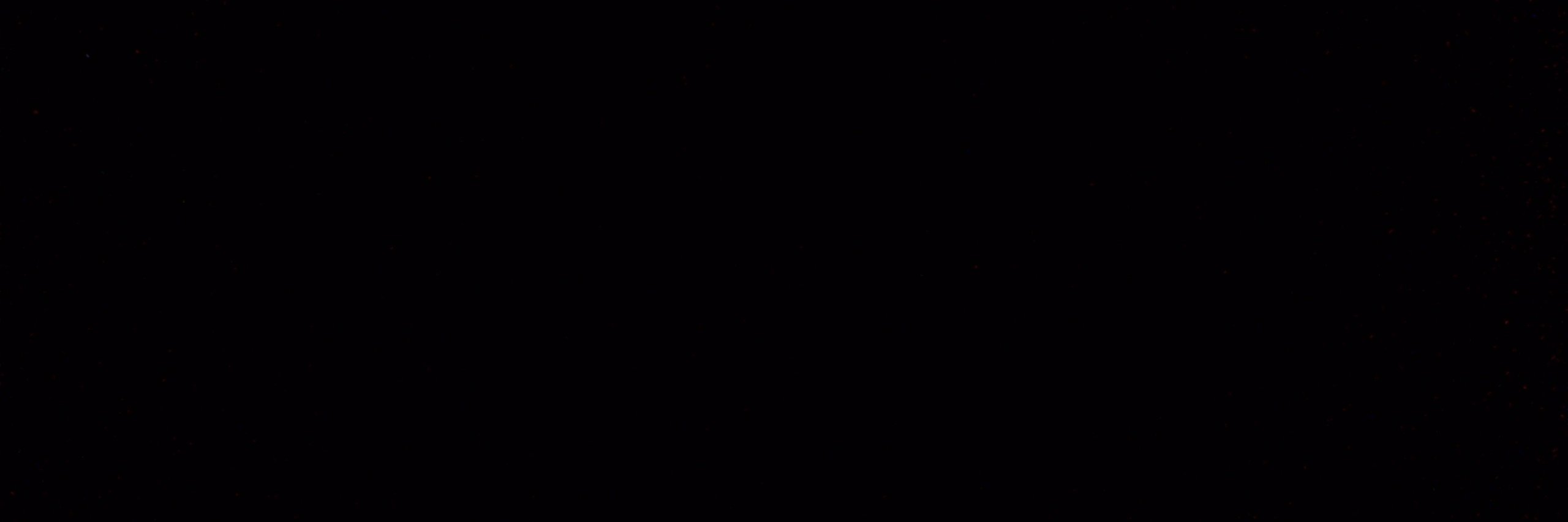 RhogerBeeblapps's profile banner image