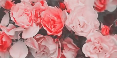 amolh14101's profile banner image