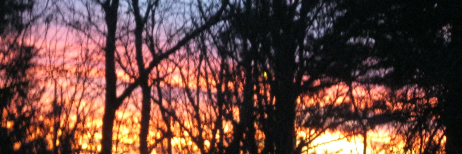 bruns321's profile banner image