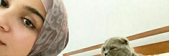 Pirdha_Rahimi's profile banner image