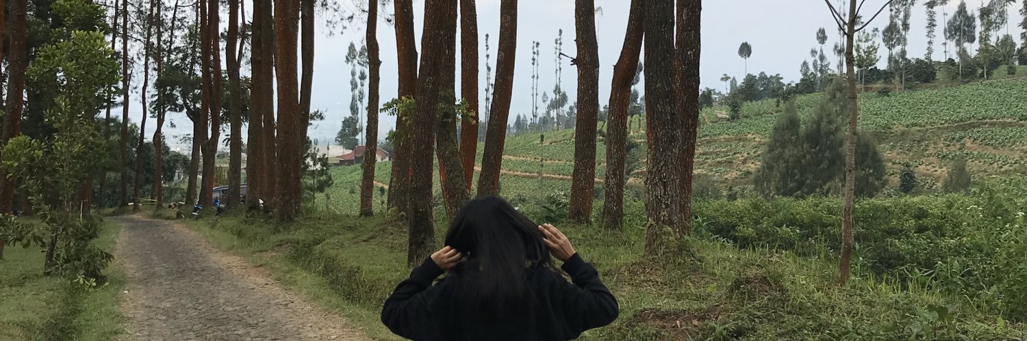 hilareall's profile banner image