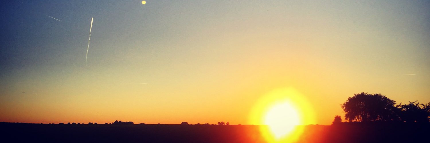 nataliebrabants's profile banner image