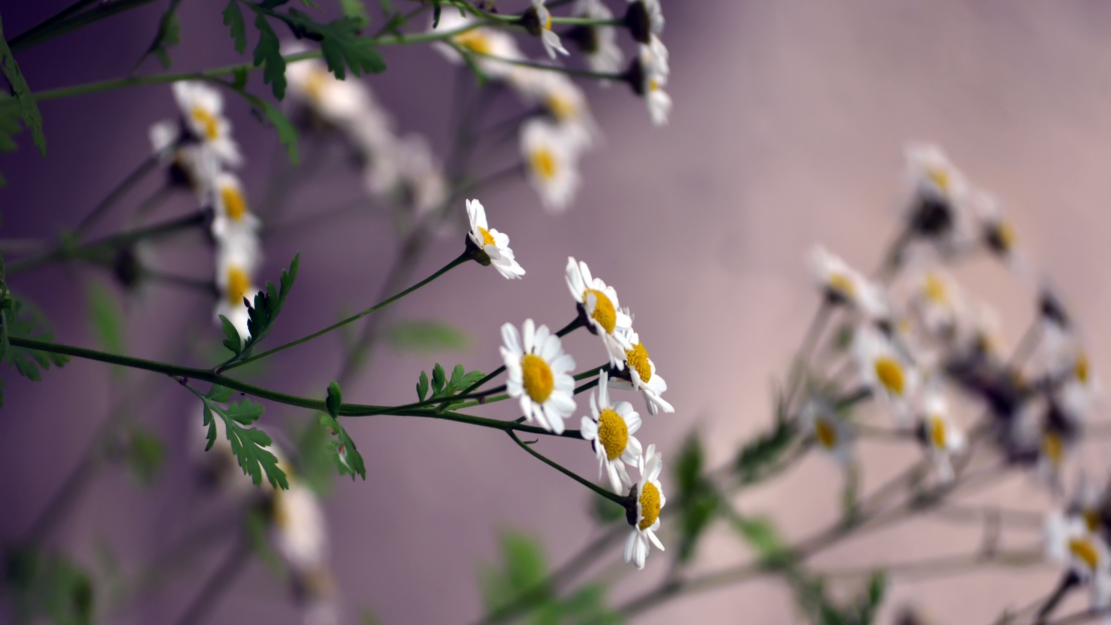 GauravRelhan1's profile banner image
