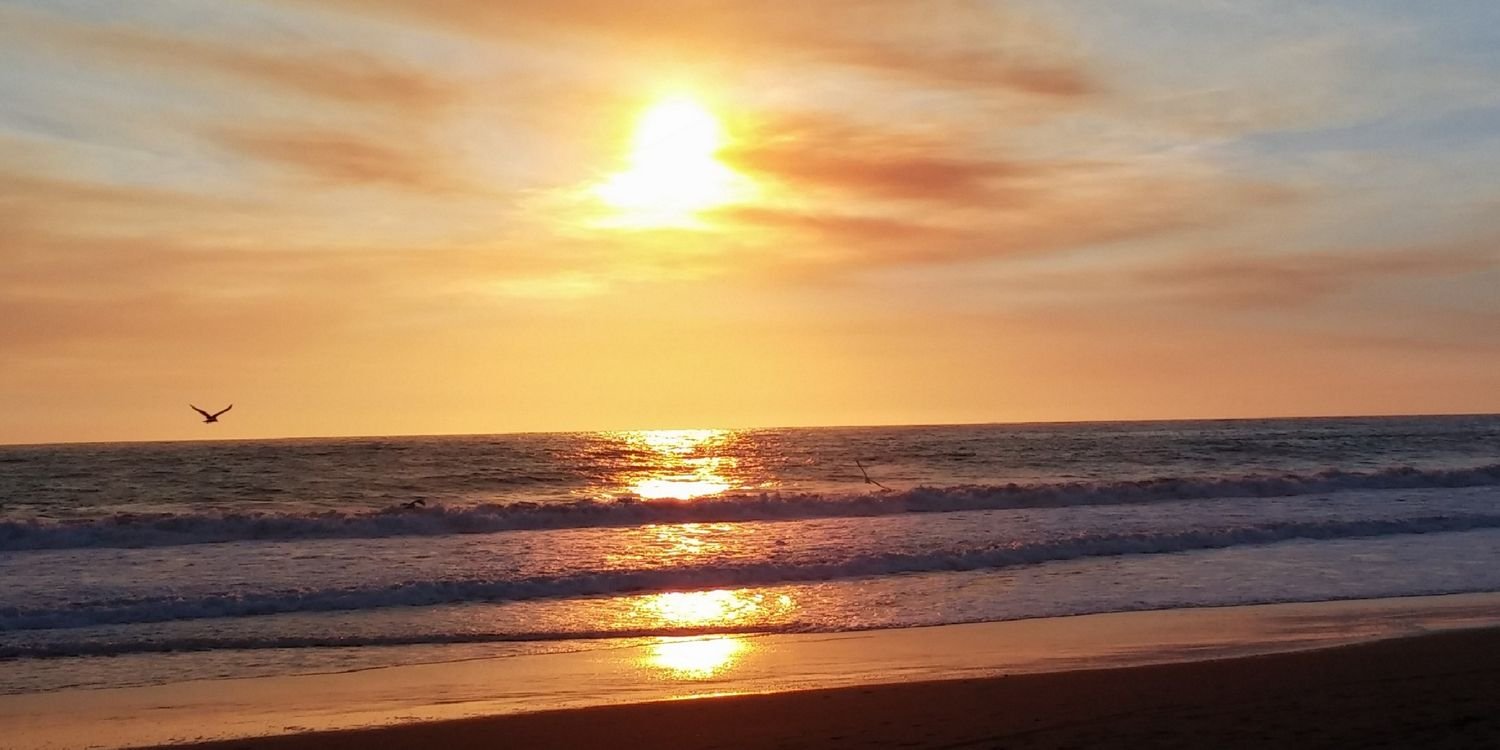 pgalaz1's profile banner image
