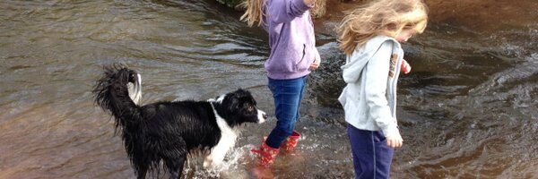 sonya_waters Profile Banner