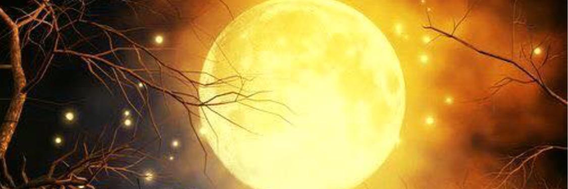 wlynn72's profile banner image