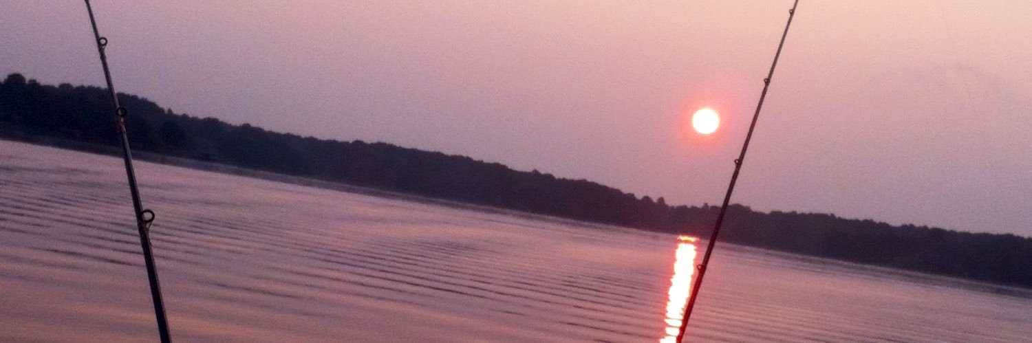 mchott17's profile banner image