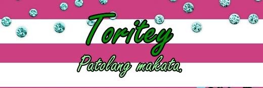 ToriteyWP's profile banner image
