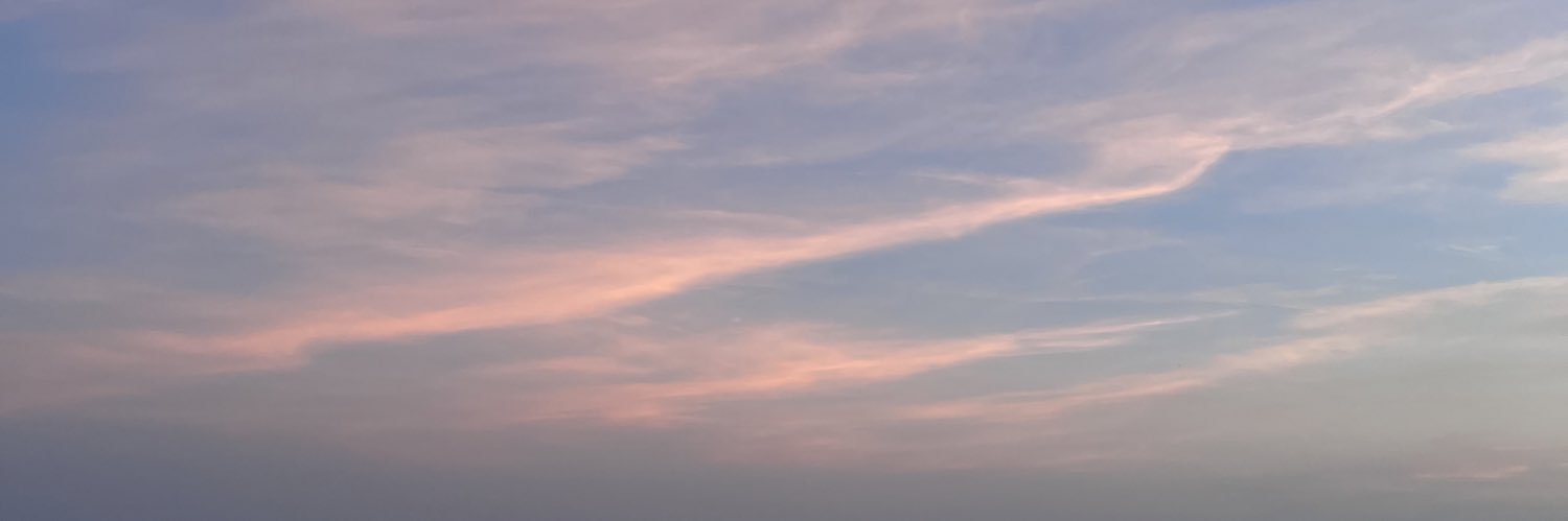 Log De Flume's banner