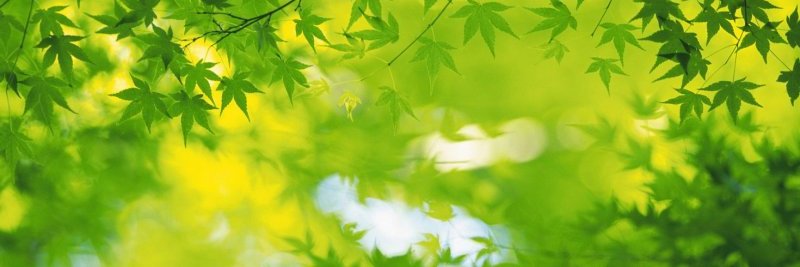 GABRIELE banner