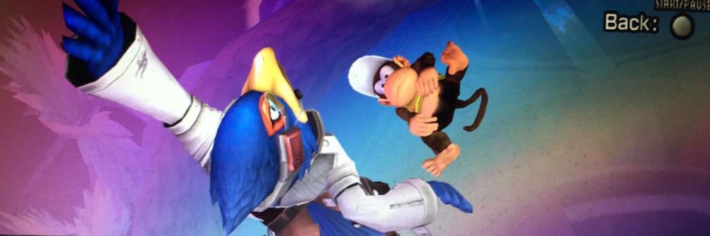 Caleb (Mr. Mutton) banner