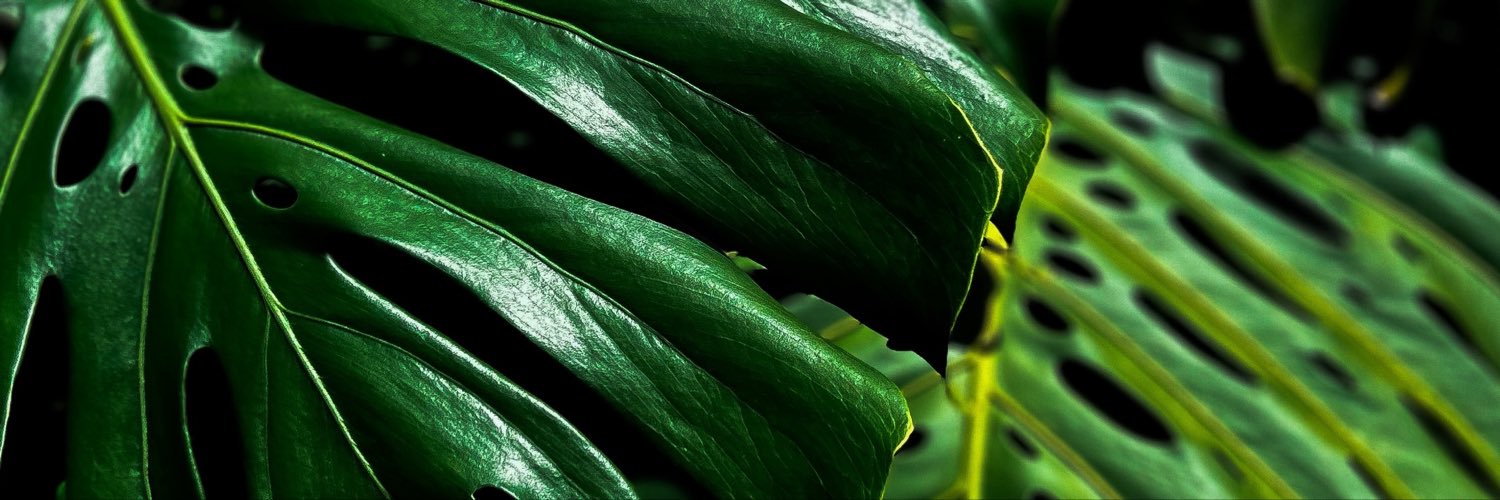 dnnsfj's profile banner image