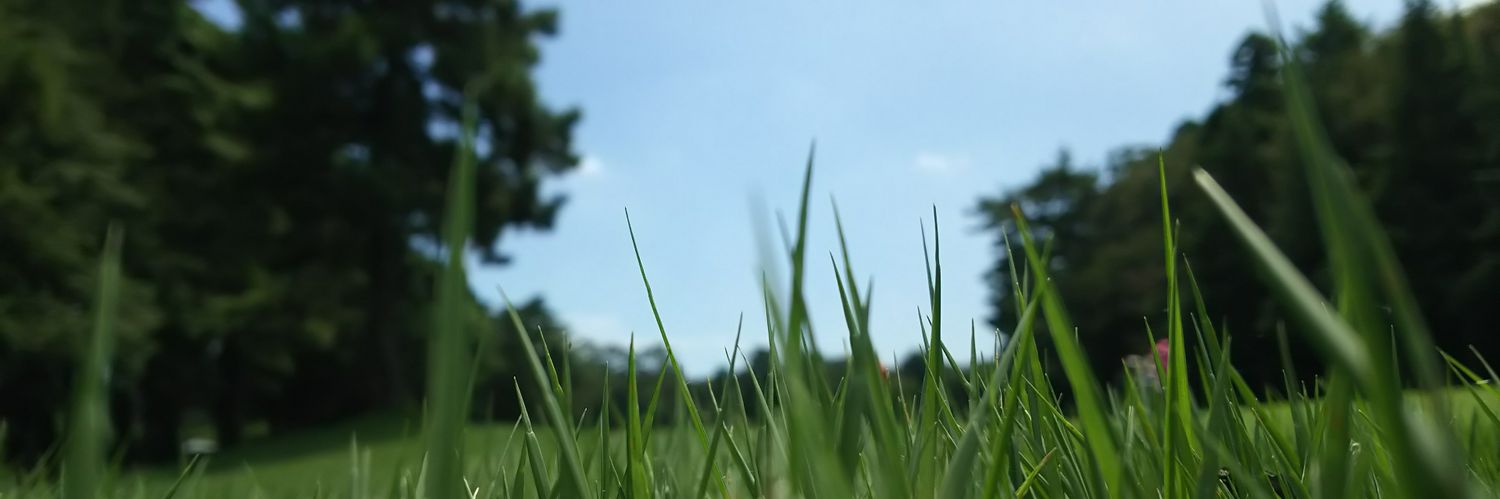 furu03270327's profile banner image