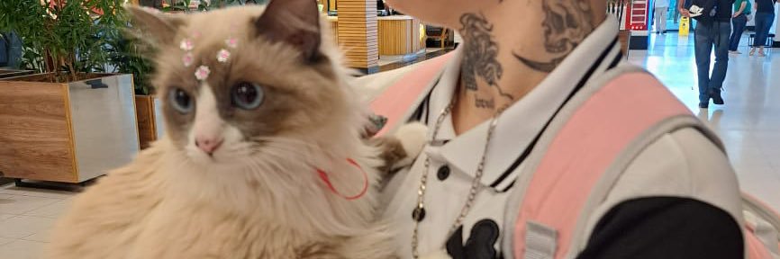 bcznotfound's profile banner image