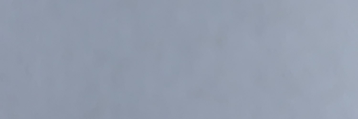 Scott banner