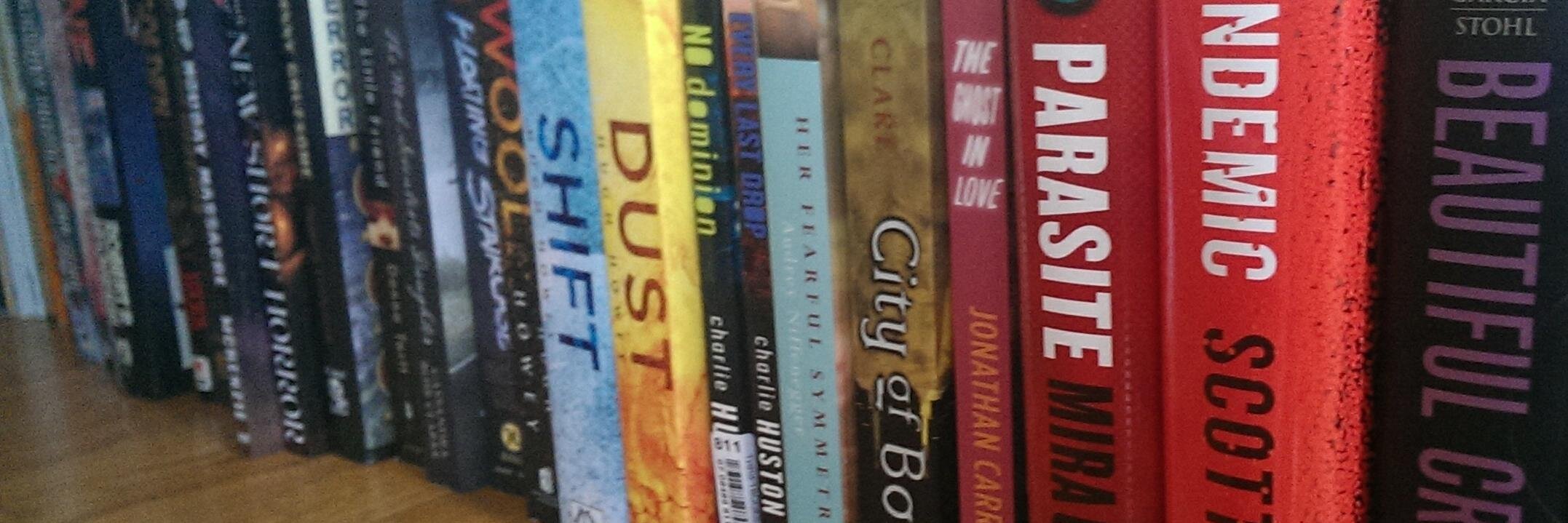 Lesley Conner banner