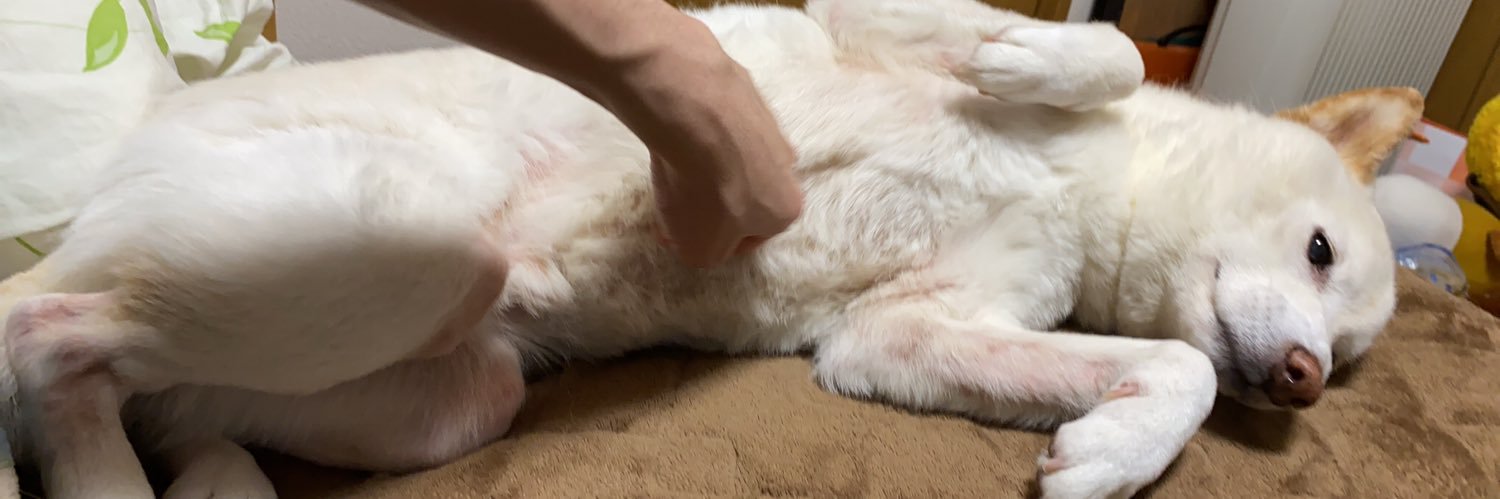 m1_sS0's profile banner image