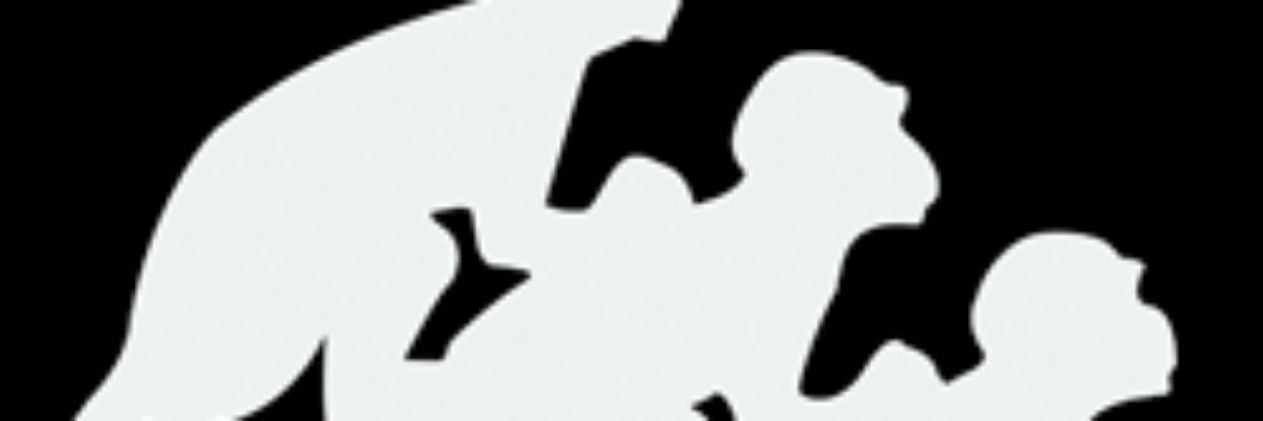 Law and Order banner