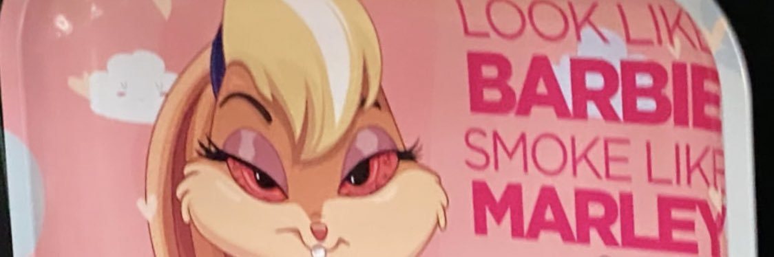 SLIM banner