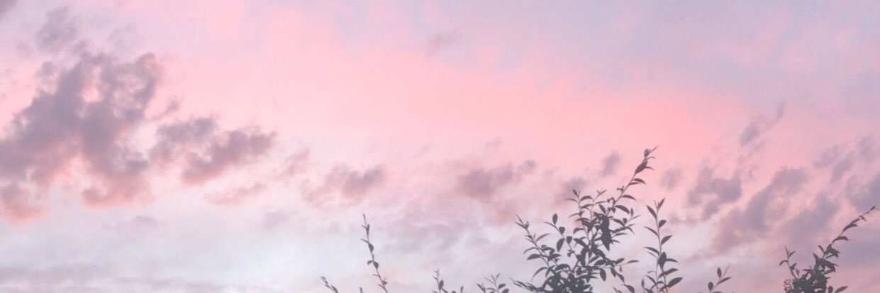 carysevans2000's profile banner image