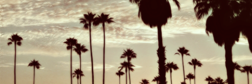 irwinbisca's profile banner image