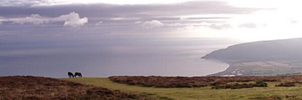 Smuggler2014 Profile Banner