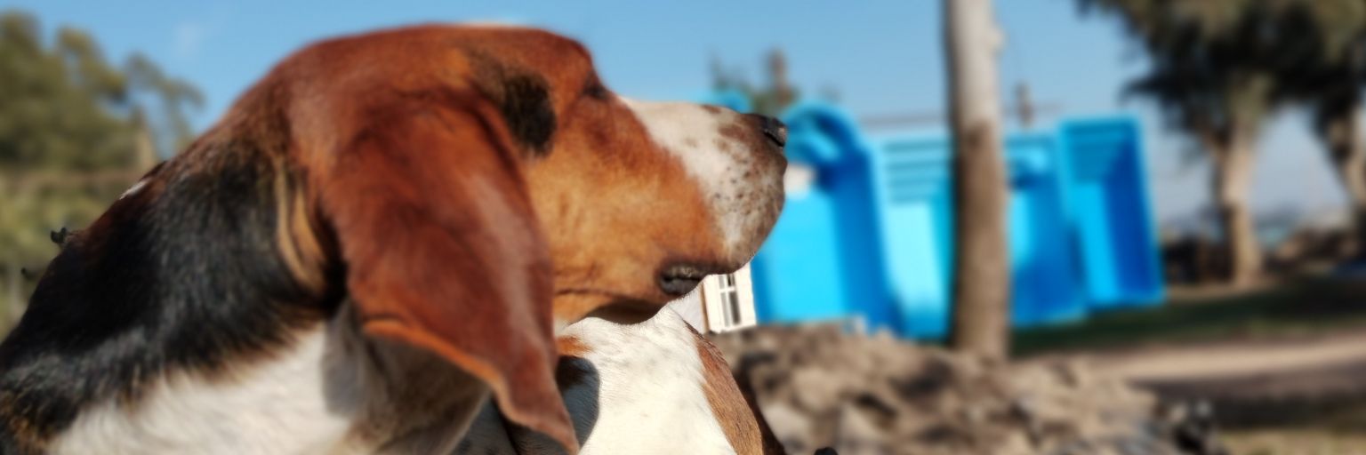 camilag66's profile banner image