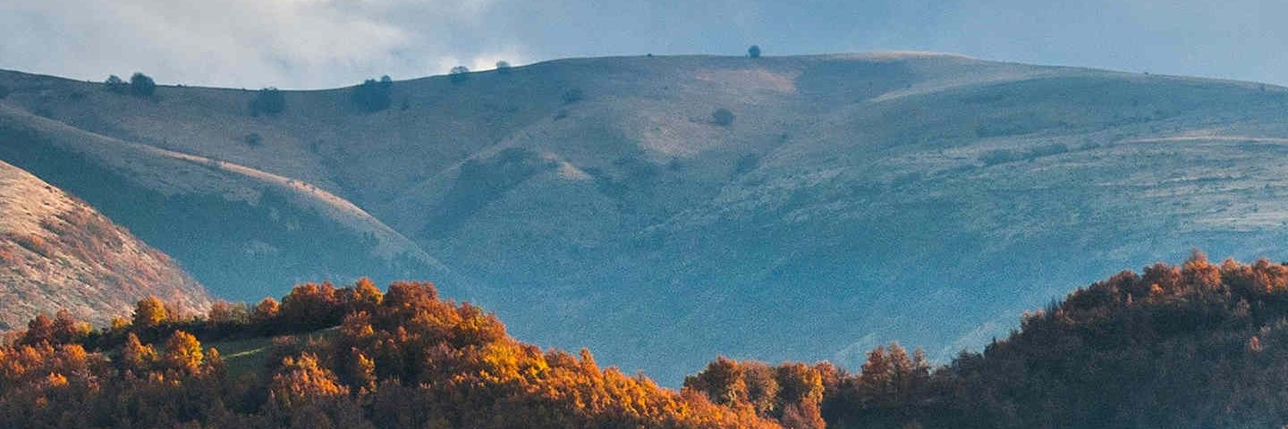 HowlKiki's profile banner image