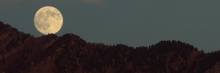 Oni banner