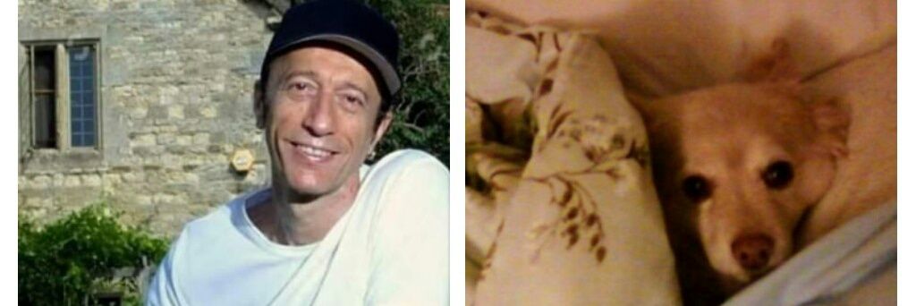 marcia thorne banner