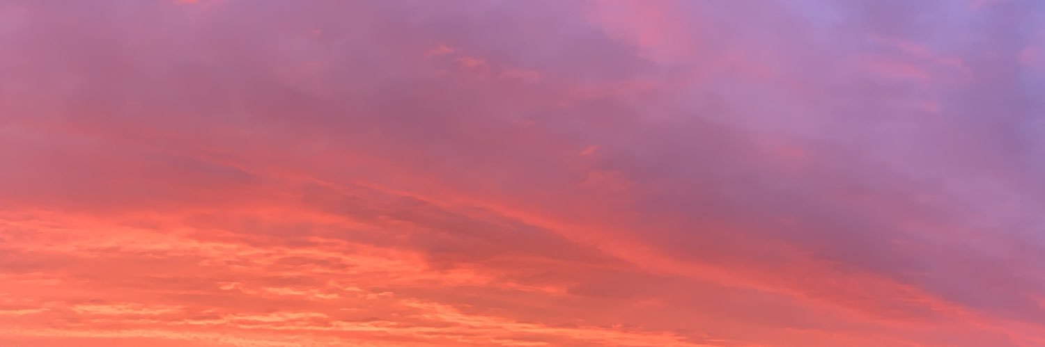 rach_bedard's profile banner image
