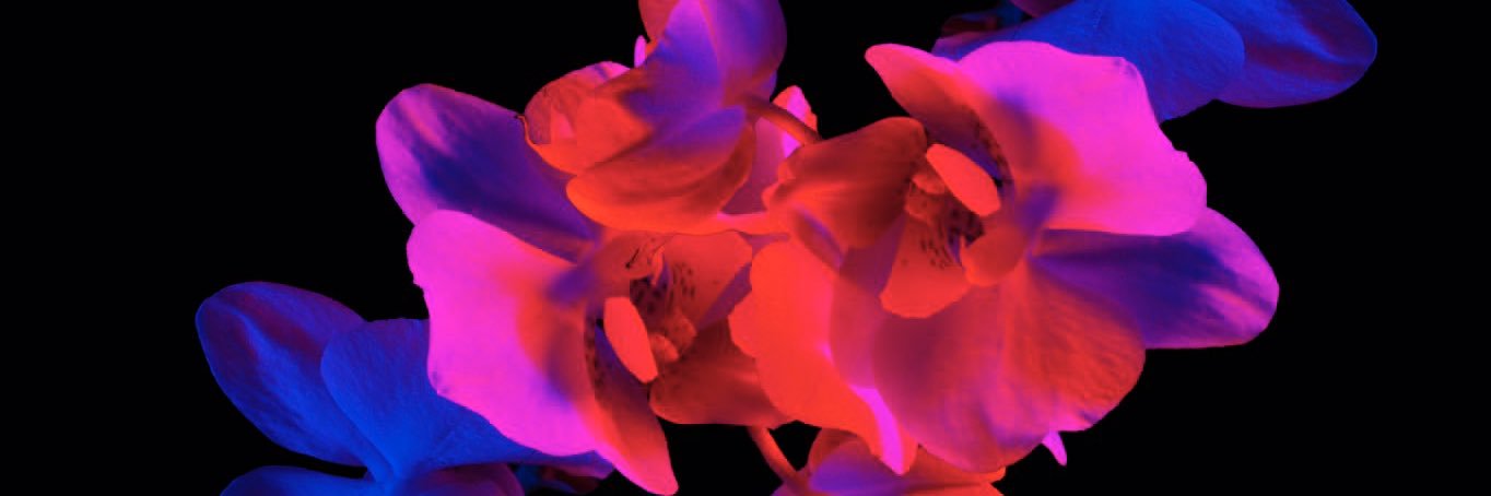 theonlyemily500's profile banner image