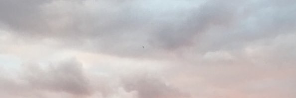 urfavepal's profile banner image
