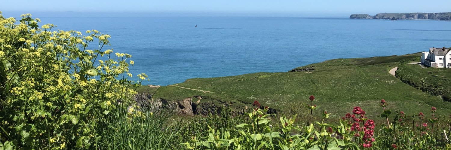 Lorraine 💙 banner