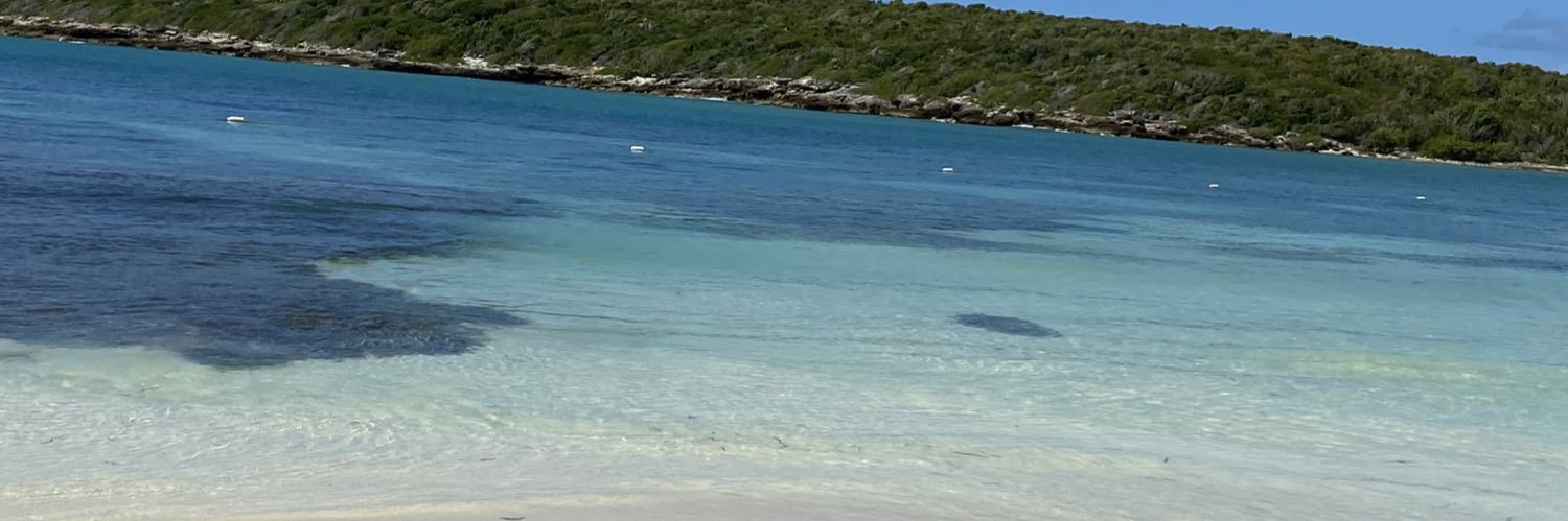 SingleStrand's profile banner image