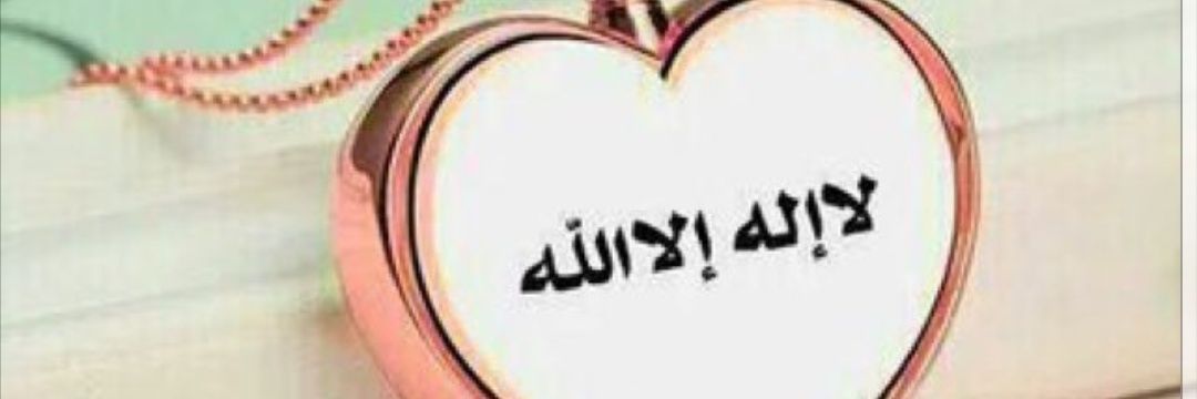 NohaAlshalan's profile banner image