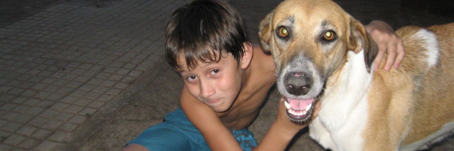 Nico_Castelli's profile banner image