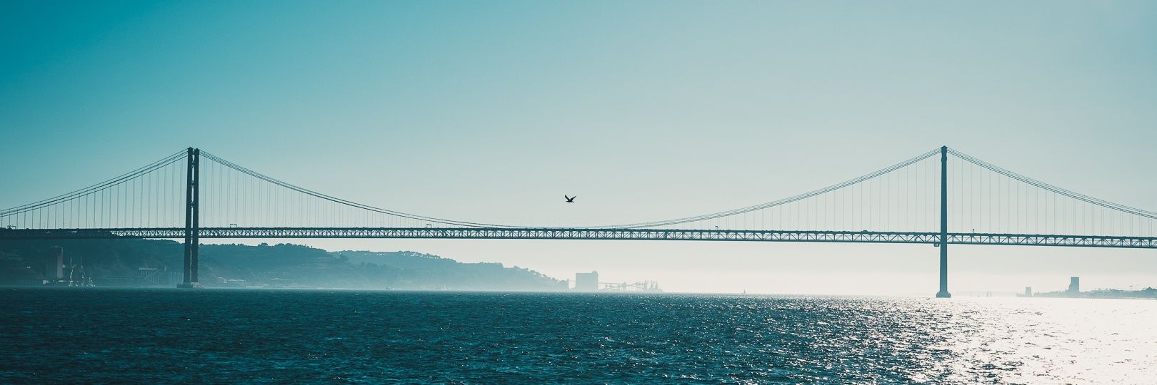 Kim Andersson banner