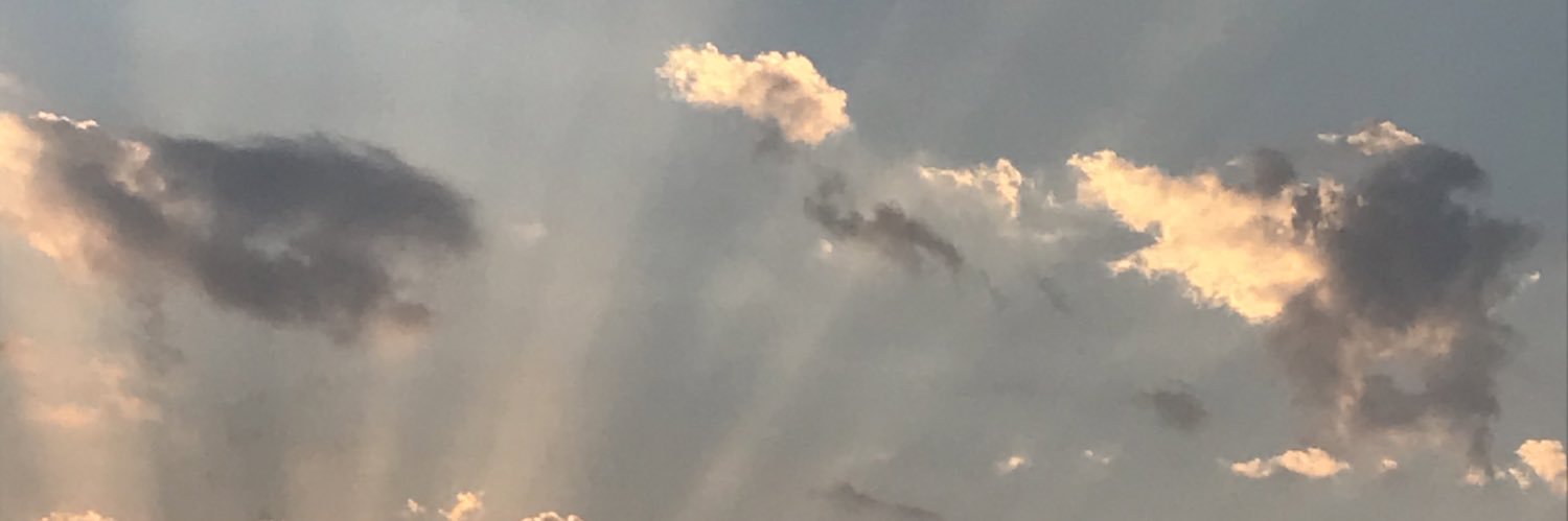 halbraiki66's profile banner image