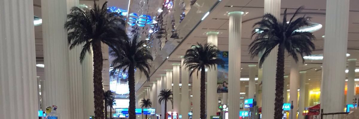 rickothe1's profile banner image