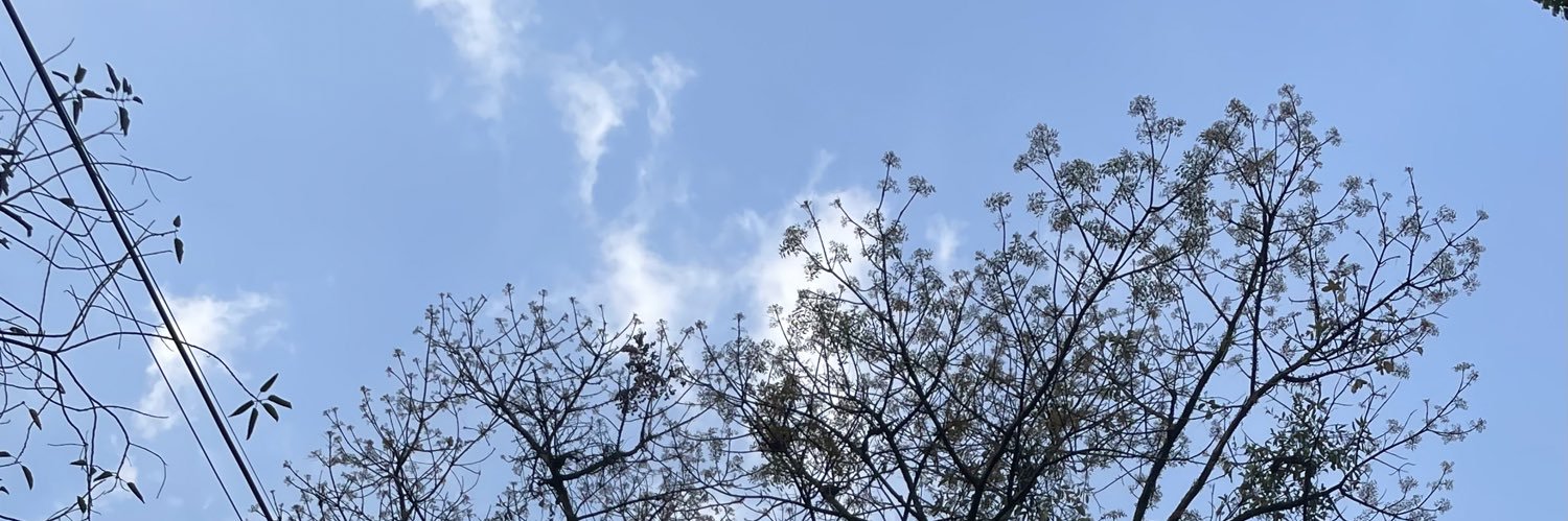 svmdny's profile banner image